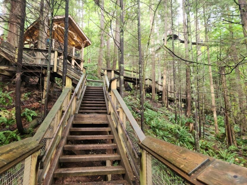 capilano suspension bridge park forest trail