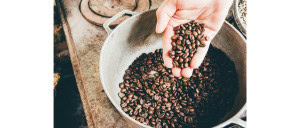 Coffee beans ready to be used in a machine
