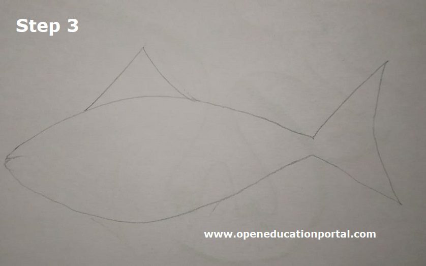 how-to-draw-a-fish-step3