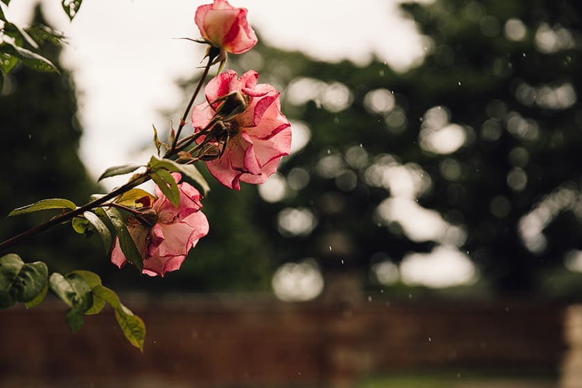 thornton-manor-wedding-02