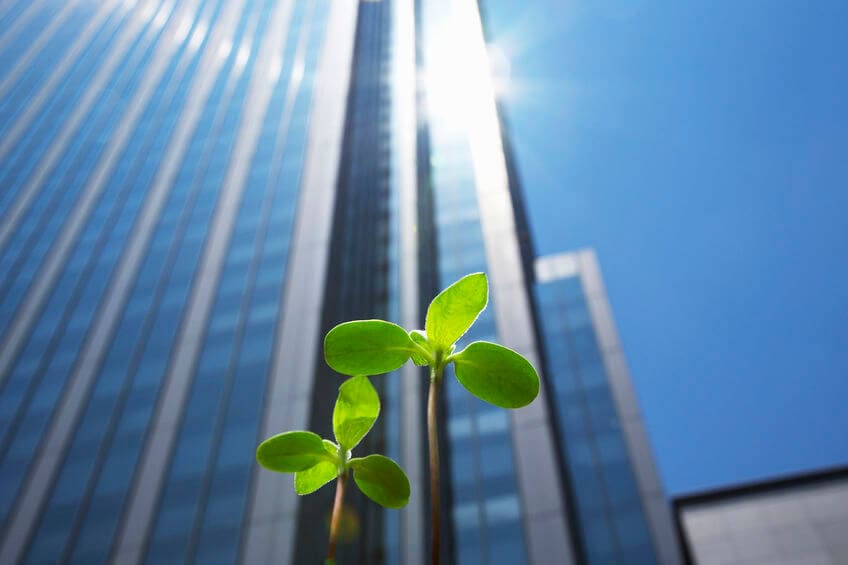 green recovery corporate open letter