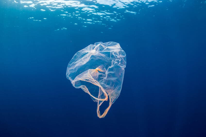 Plastic bag in ocean