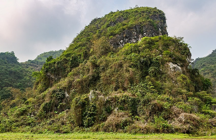 A green rock