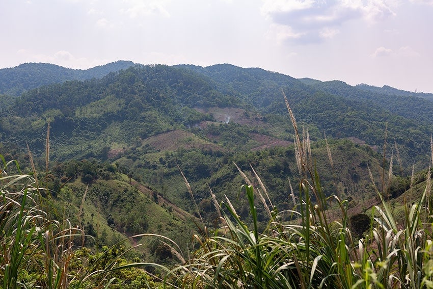 Forest up at the top - farmland below