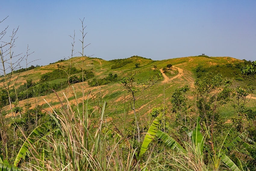 Clear cut forest along the Ho Chi Minh Trail