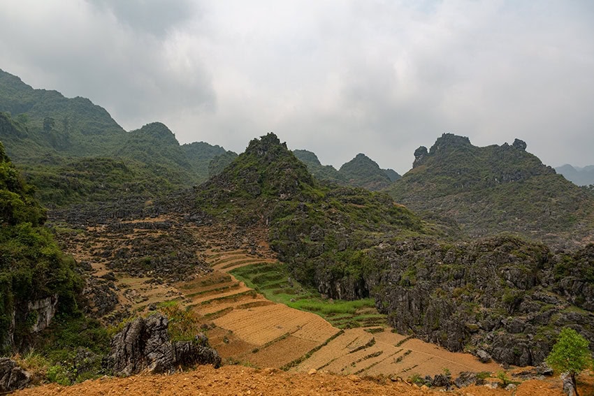 Limestone fields of the Karst Plateau