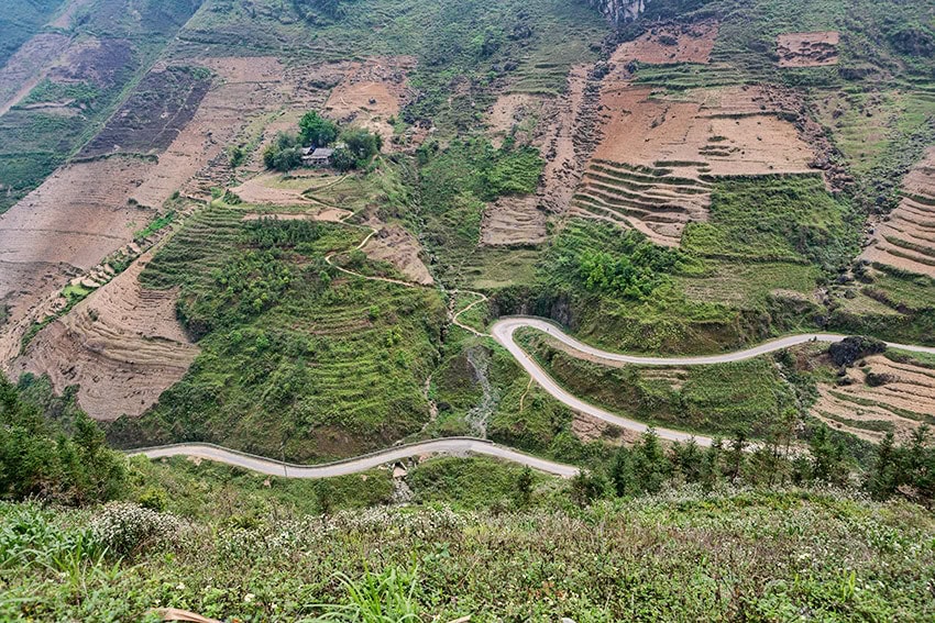 Fields in Vietnam