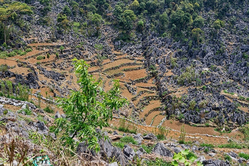 Fields in the mountain