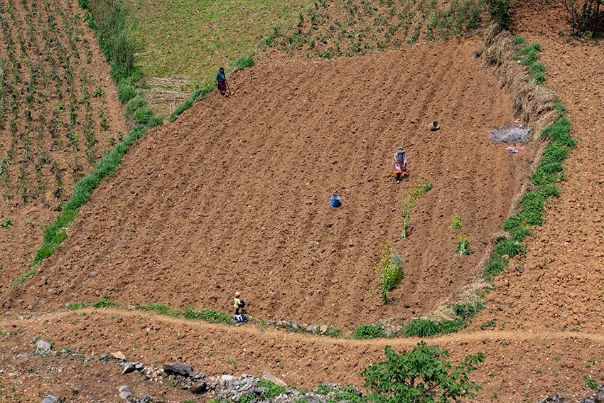 Farmers on a field