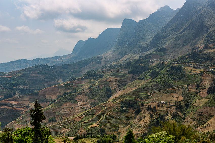 Fields and Mountains