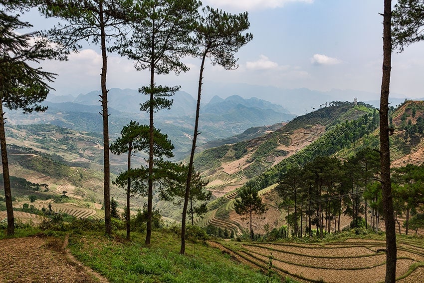 Fields in the Mountains