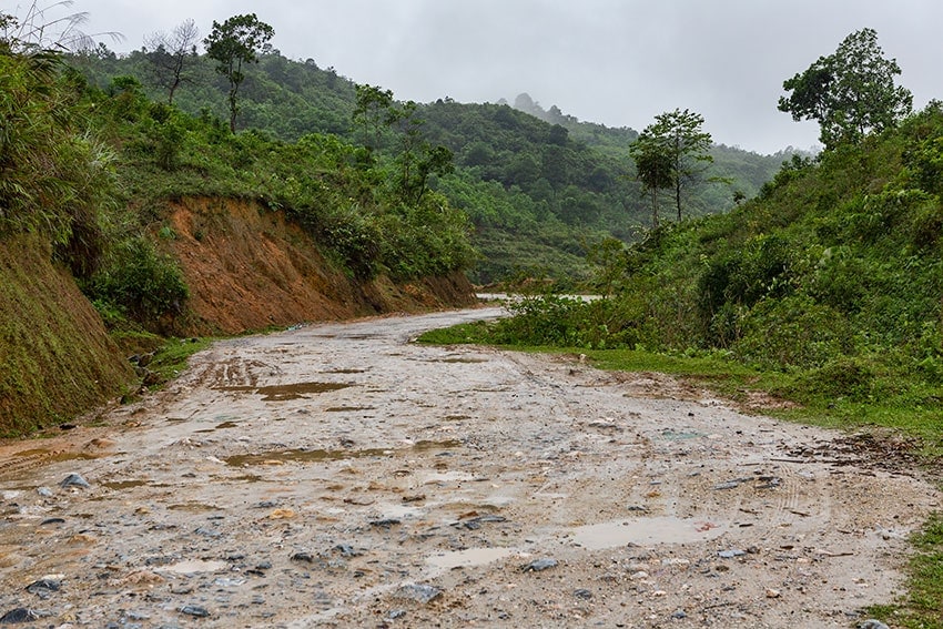 Wet Dirtroad