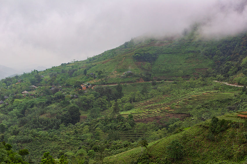 Mountain Road