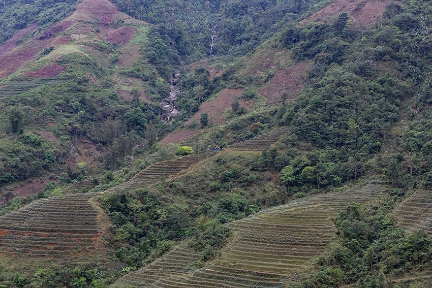 Rice Terrace