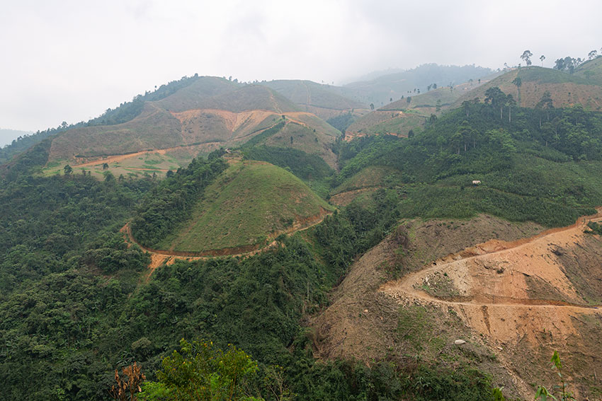 Logging area