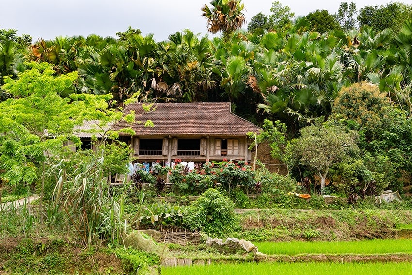 Traditional House