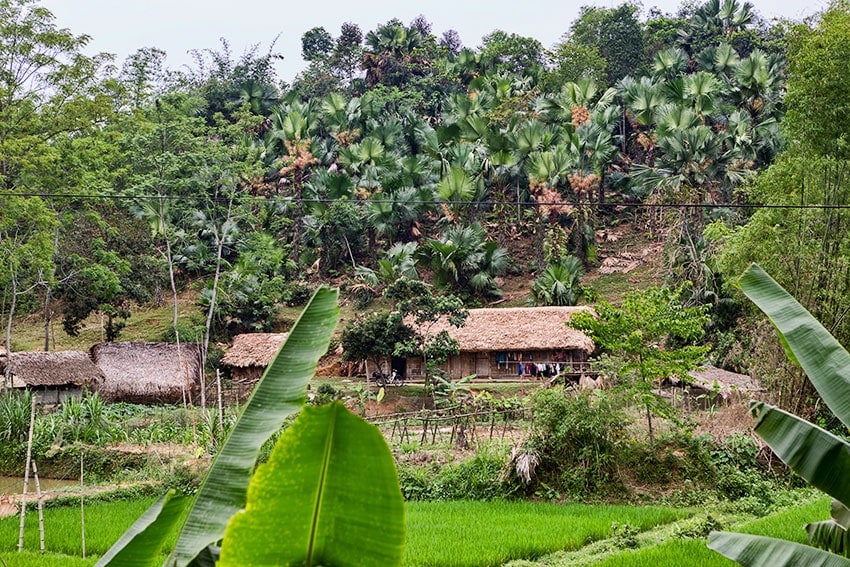 Farmer Houses