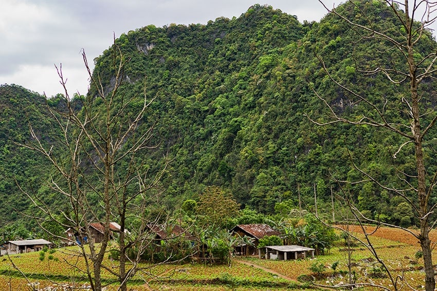 Farm Houses