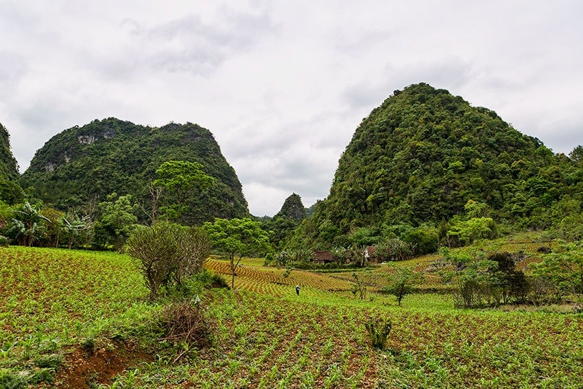 Farm with mountains