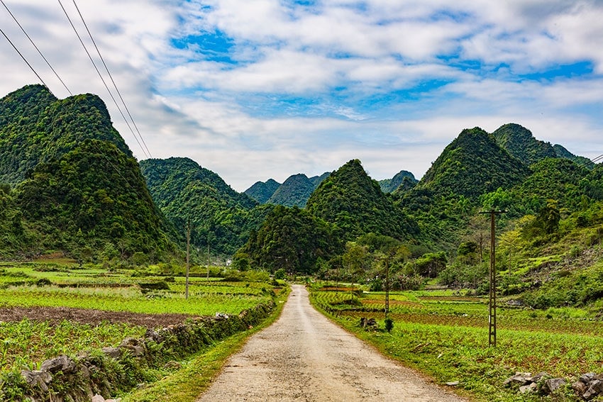 Rural Road