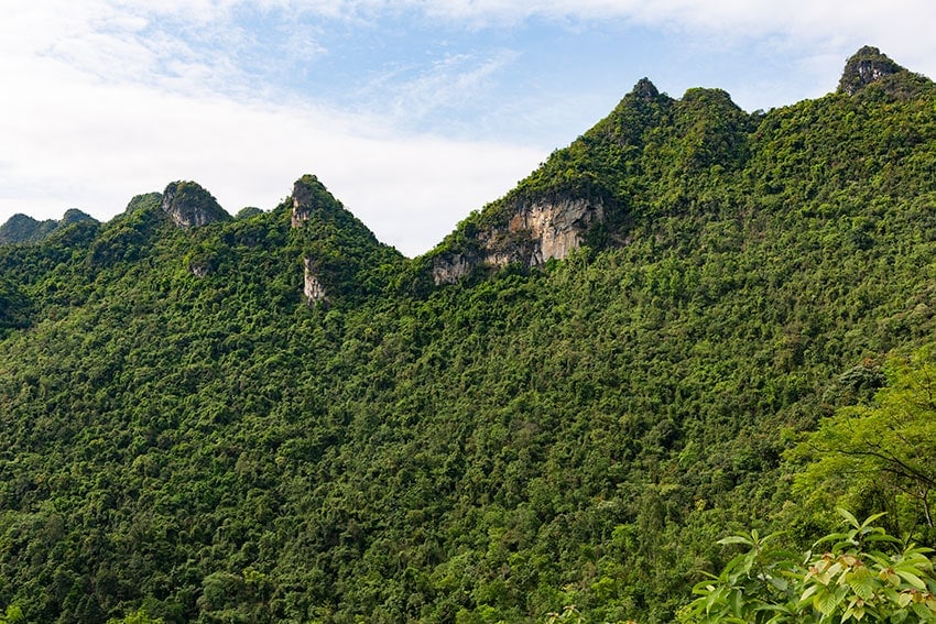 Green Karst Mountain