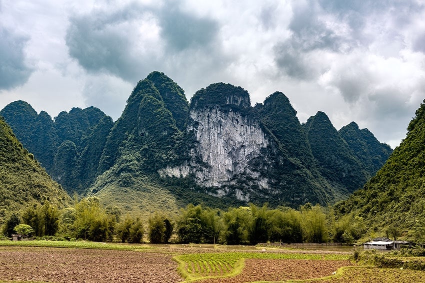 Karst mountains behind fields in Vietnam