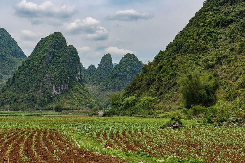 Corn fields with Karst mountains in the bag