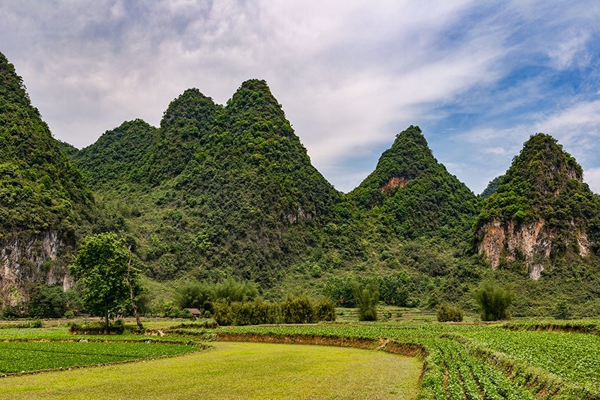 Farmland and Karst Mountains