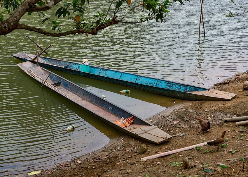 Trash, chickens and boats