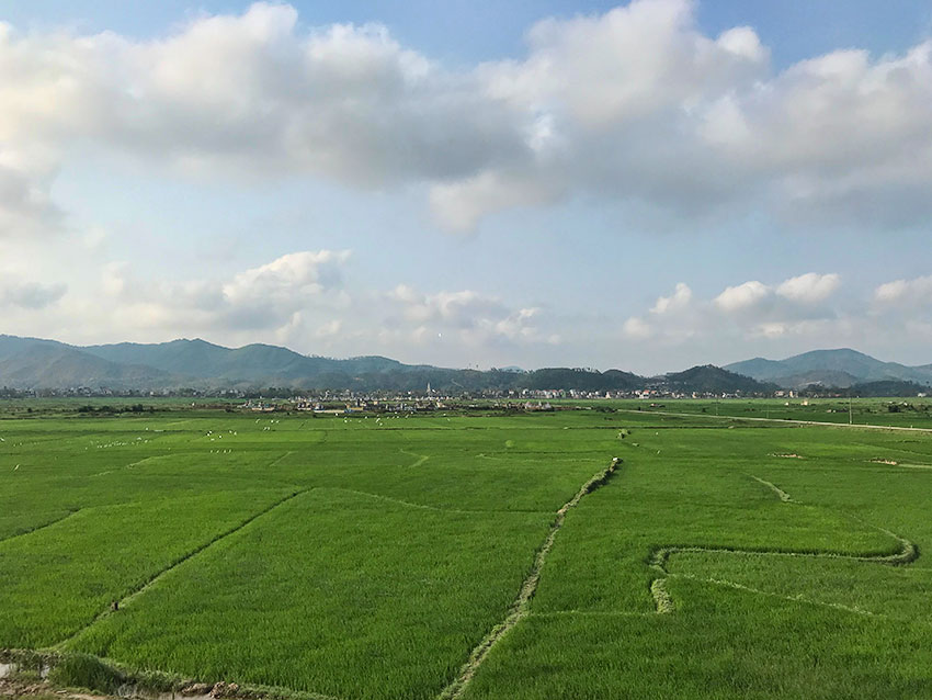 The village behind the rice fields