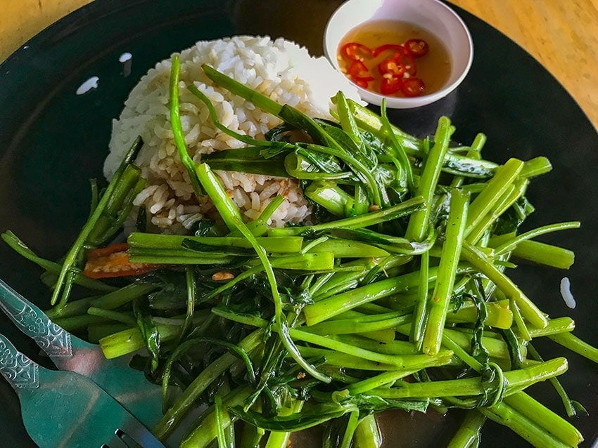 Thai Food with Rice