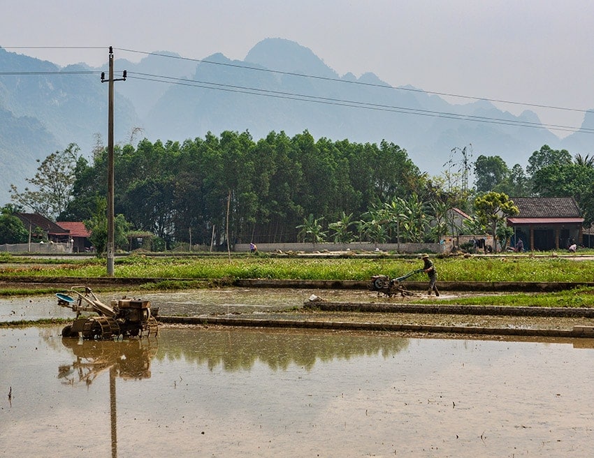 Preparing the rice field before planting