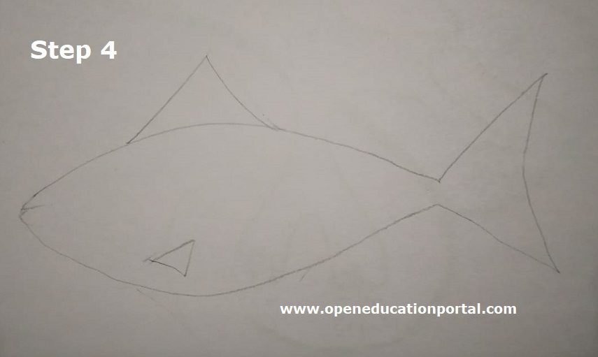 how-to-draw-a-fish-step4