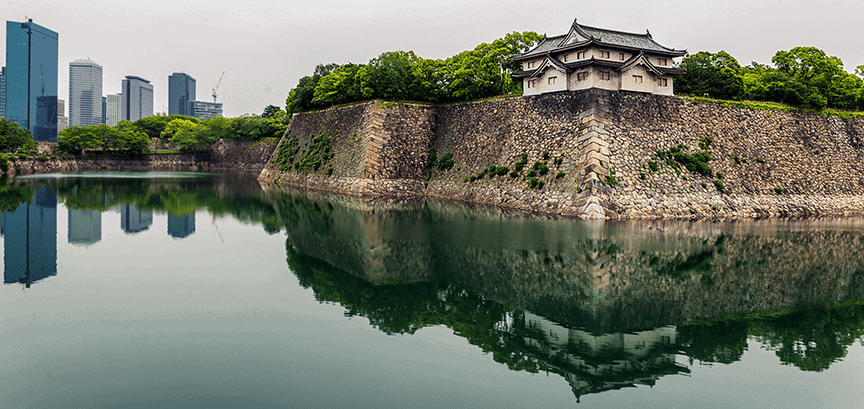 business moat