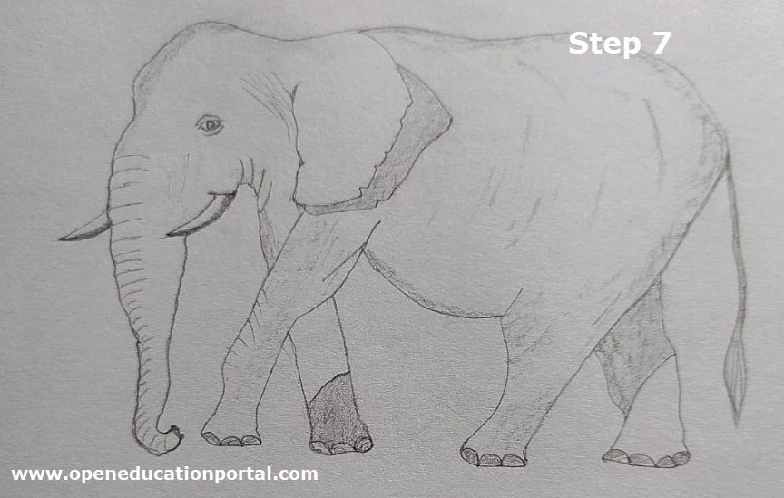 how-to-draw-elephant-for-kids-7