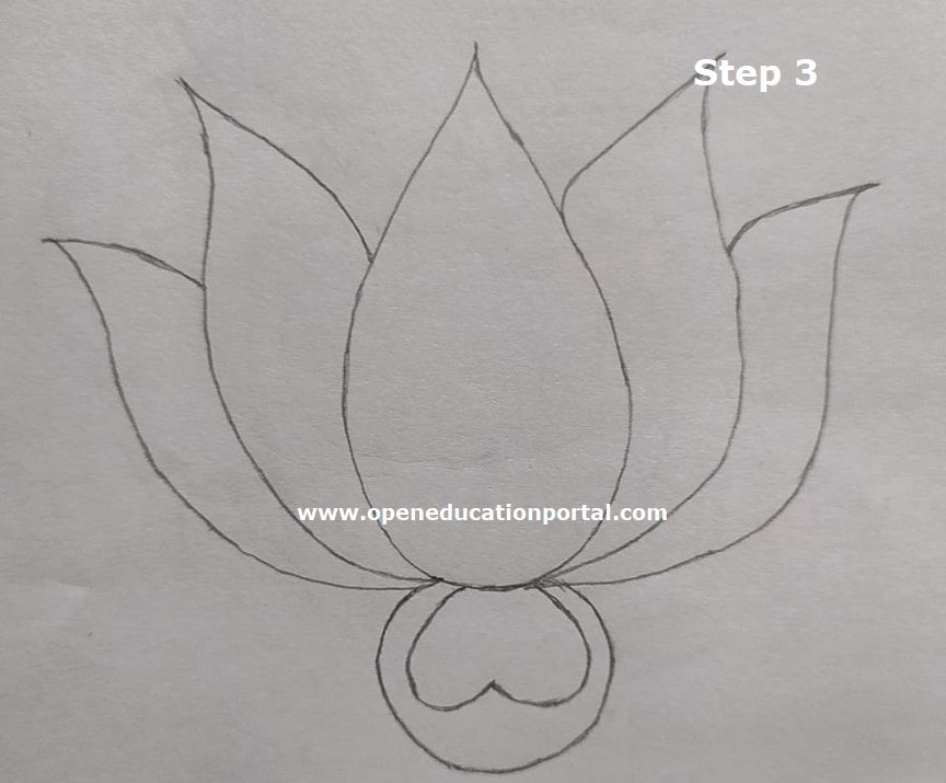 how-to-draw-lotus-flower-3