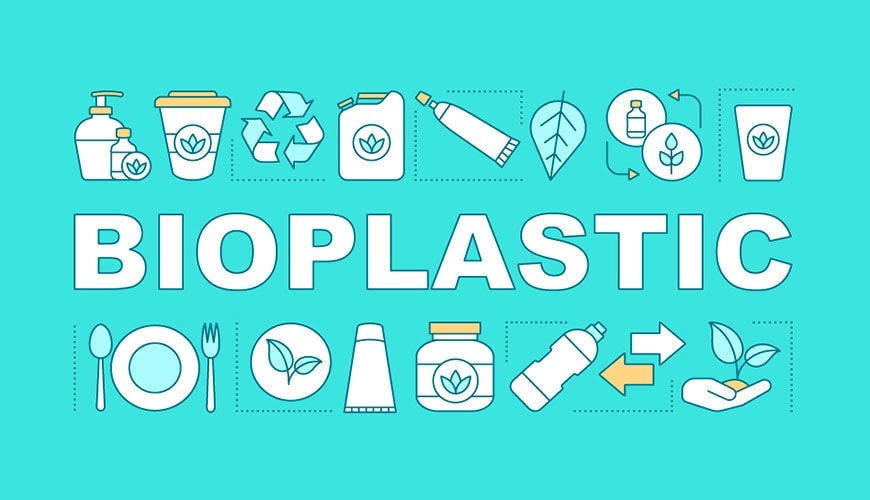 Green alternatives for plastic containers wholesale
