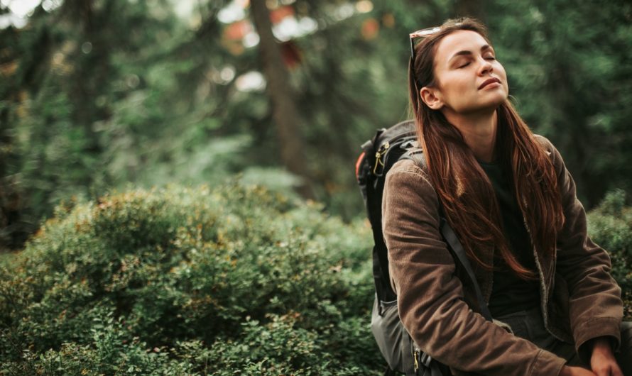 BACK TO NATURE: A NECESSARY HOMECOMING