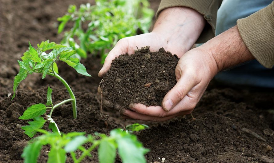 Roy Pfaltzgraff Explains The Benefits of Soil Moisture Conservation