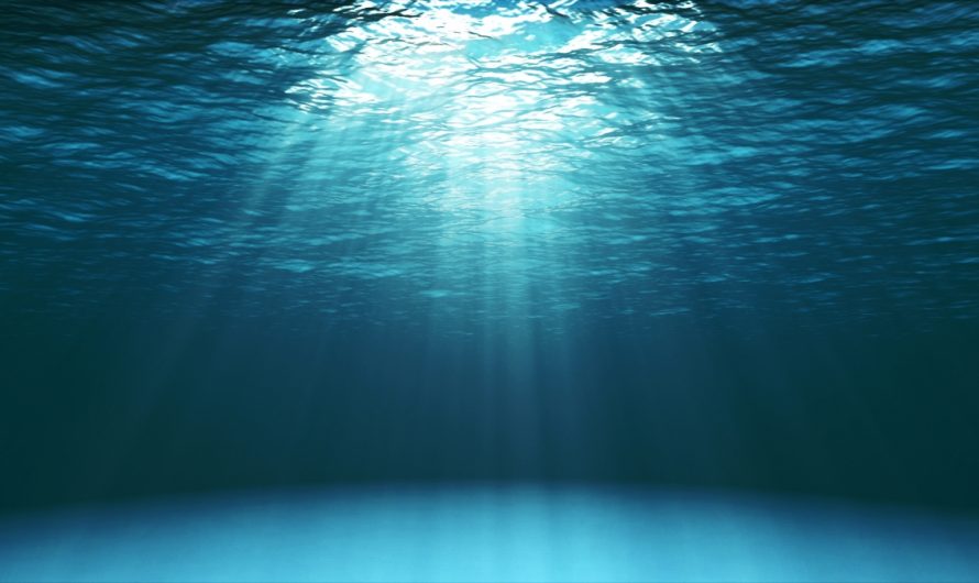 THE OCEAN WITHIN US