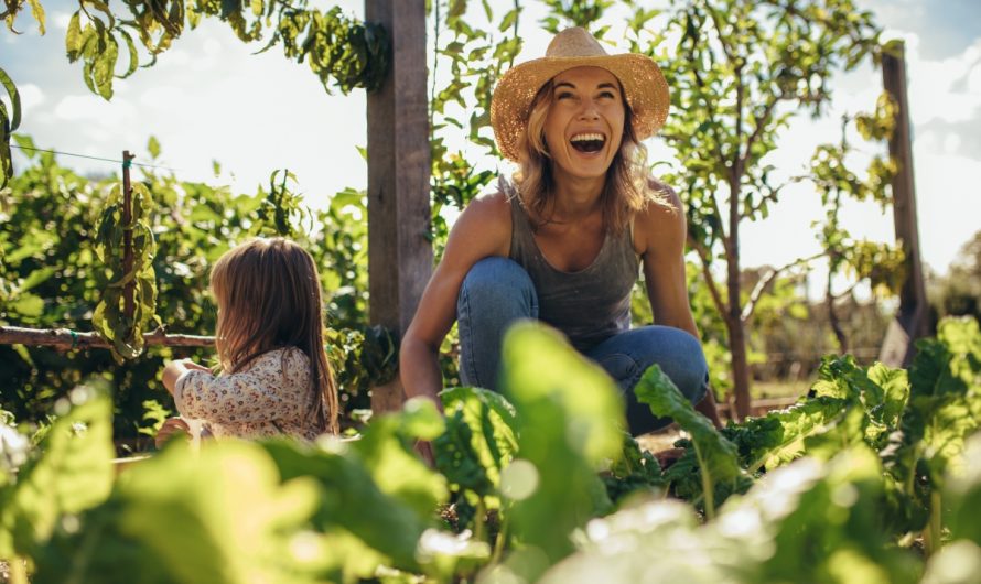CULTIVATING SERENITY THROUGH ECOTHERAPY
