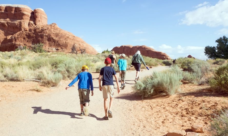 Trailblazing with Kids: An Ultimate Guide to Family-Friendly Hiking in U.S. National Parks from Michael Berago