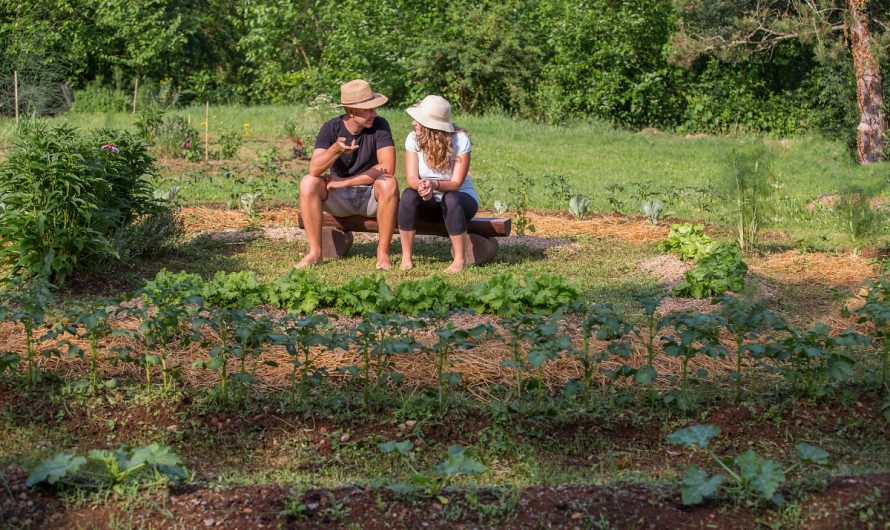 PERMACULTURE 101