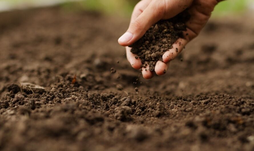 Eric Denfeld Weeds Are Telling You Something: What Your Weeds Reveal About Your Soil Health