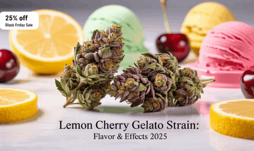 Lemon Cherry Gelato Strain: A Sweet and Uplifting Delta 8 Experience