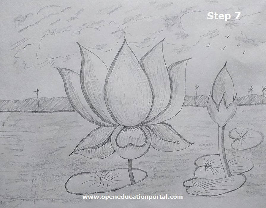 how-to-draw-lotus-flower-7