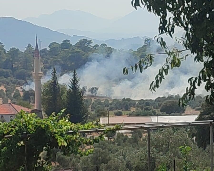 MUĞLA'NIN DALAMAN İLÇESİNDE ÇIKAN ORMAN YANGINI EKİPLERİN HAVADAN VE KARADAN HIZLI MÜDAHALESİ İLE KONTROL ALTINA ALINDI.