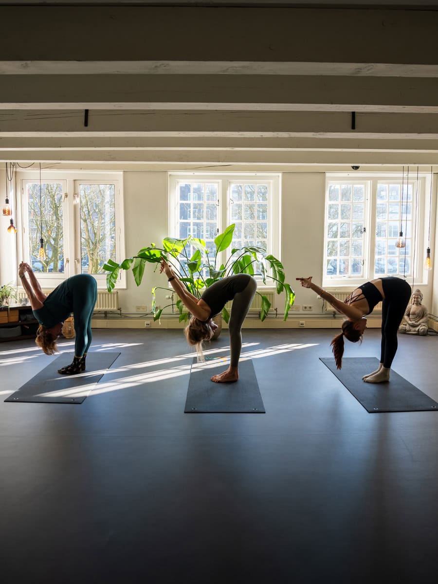 Groepslessen-stokholm-gym-dordrecht Groepslessen-stokholm-gym-dordrecht