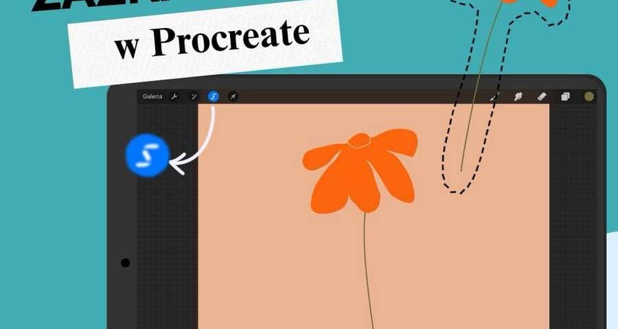 funkcja zaznaczania w Procreate