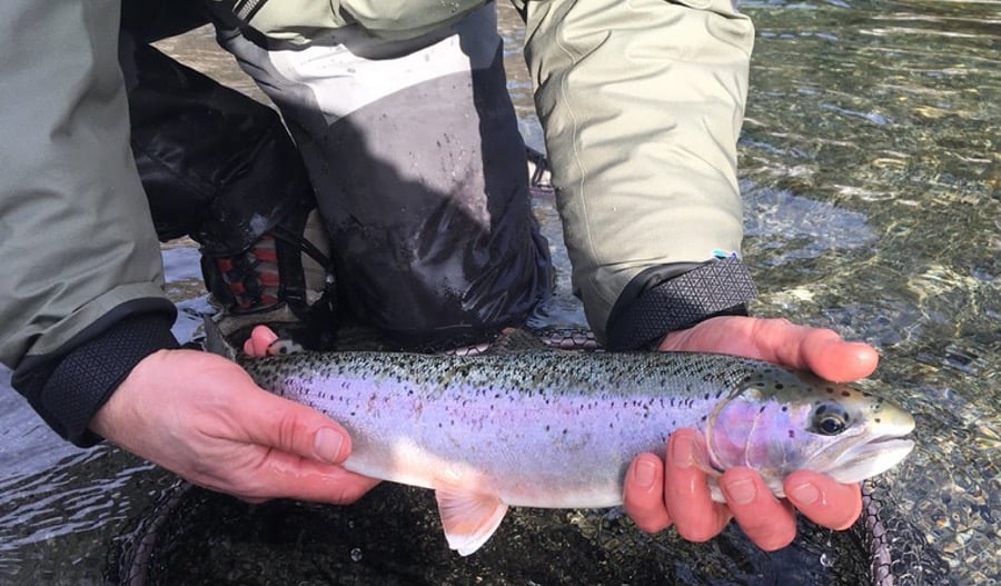 winter fly fishing